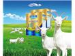 羊奶粉厂家承接羊奶粉代加工OEM贴牌（400G）