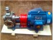艾克泵业供应优质YCB型不锈钢泵
