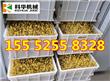 郑州大型发豆芽机全自动豆芽机豆芽机厂家