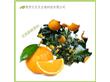 元贝贝厂家直供橙子粉速溶柳橙粉口感纯正固体饮料（30:1）