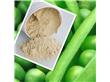 西安新维禾工厂价现货豌豆提取物豌豆蛋白（Kjeldahl Nitrogen 80%）