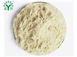 膨化燕麦粉 优质燕麦粉 定制燕麦粉