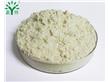 膨化薏米粉 优质薏米粉 定制薏米粉