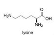 L赖氨酸（25、50、75）水溶液