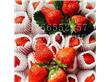 草莓网套机小包装草莓网兜机发泡均匀设备生产稳定