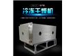 真空生产型冻干机（SJFD-5m2）