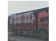 装10吨猪颗粒饲料运输车厂家近期价格动态