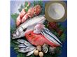虾仁贝类鱼片无磷食品保水剂S912