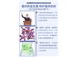 广州市中食科康保健食品有限公司:优畅益生菌粉