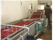 红枣加工厂需要的机器设备H一条红枣加工设备生产线价格