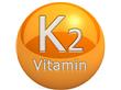维生素K2发酵法